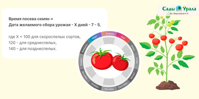 Расти большой. Мамы и малыши. Картон А5