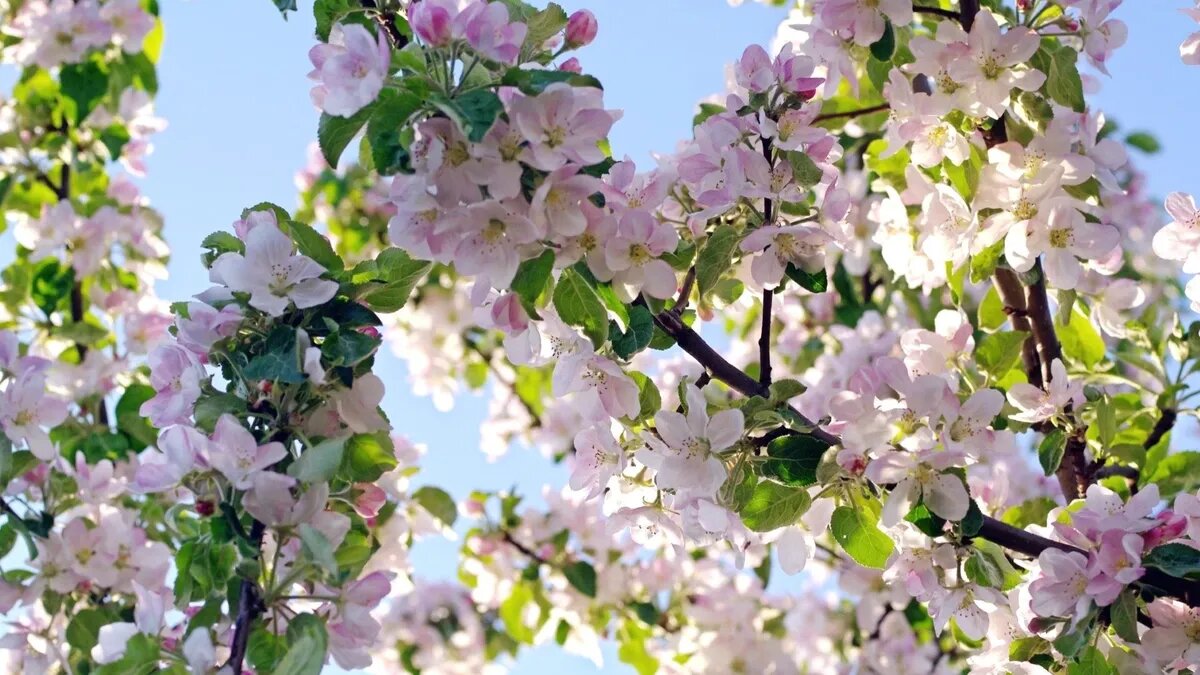 Майские выходные будут длительными, но с небольшим перерывом. Фото: pxhere.com