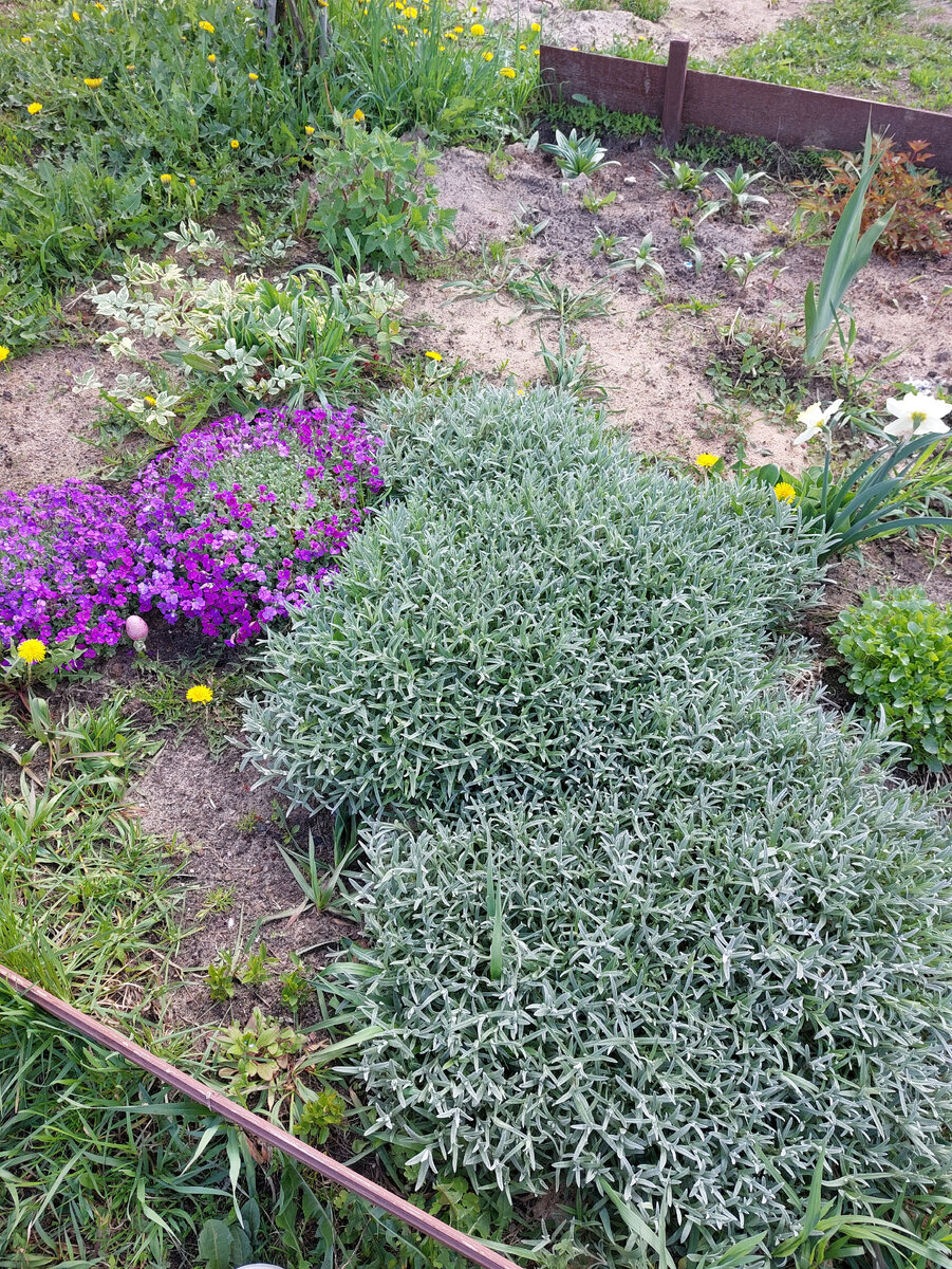 На данном фото ей тут ровно 1 год