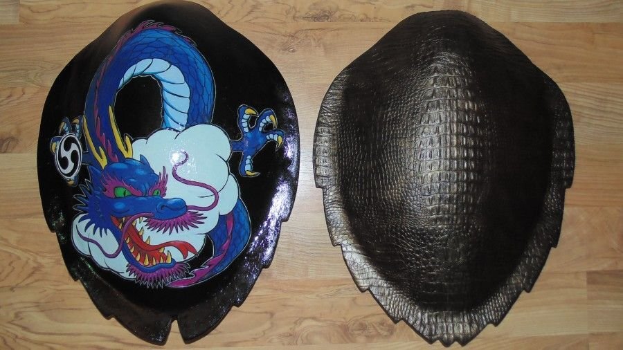 Фото из открытых источников. Щит Тимбэй