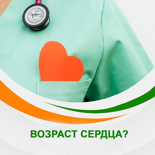 клиника риорит мрт. медицинский центр риорит спб. риорит мрт-центр руставели 66. мрт ул руставели 66 спб. медицинский центр риорит санкт петербург.