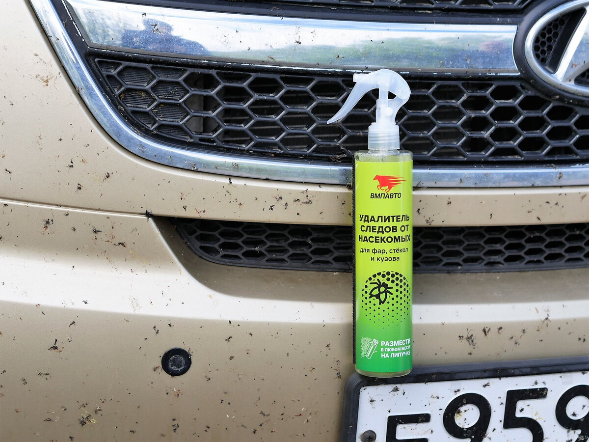 Лайфхаки автомобилистов: как отмыть следы насекомых на авто