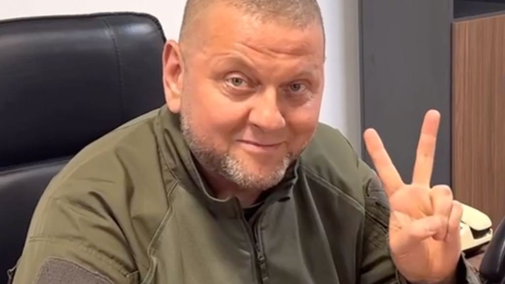     Главнокомандующий вооруженными силами Украины (ВСУ) Валерий Залужный (на фото) объявлен в России в розыск в связи с возбуждением против него уголовного дела.