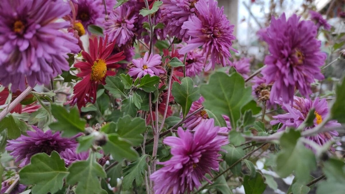     В Татарстане во вторник, 6 июня, ожидается дождливая и ветреная погода. Об этом сообщило управление по гидрометеорологии и мониторингу окружающей среды РТ.