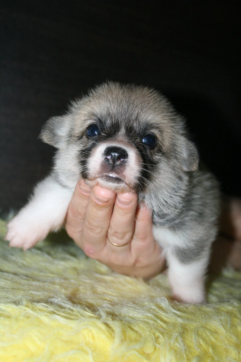 То самое фото из группы ВК