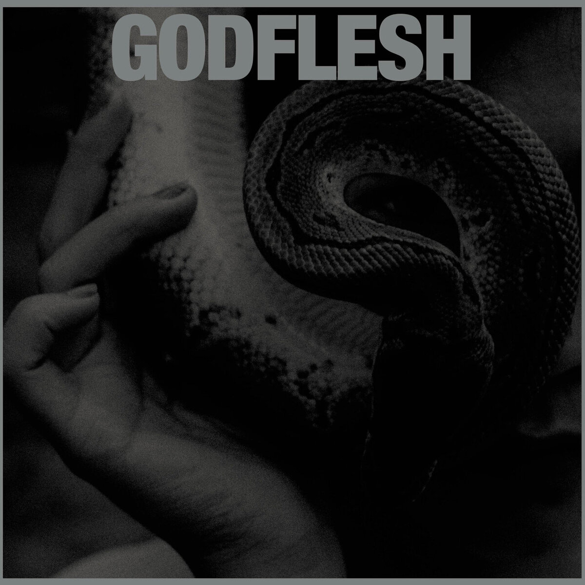 Godflesh – Purge (2023) | Soundscapes Of Darkness | Дзен