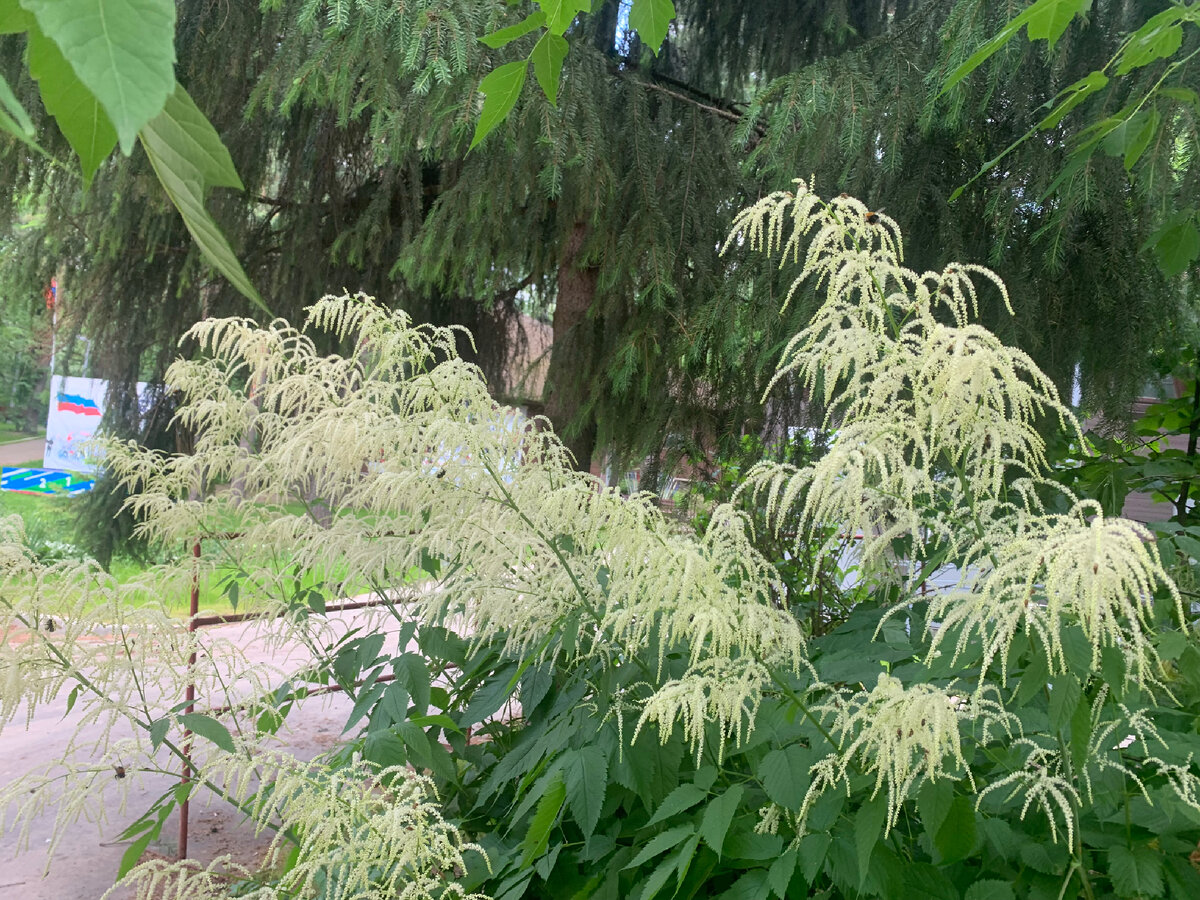 Битца фото автора Катюша из Москвы 