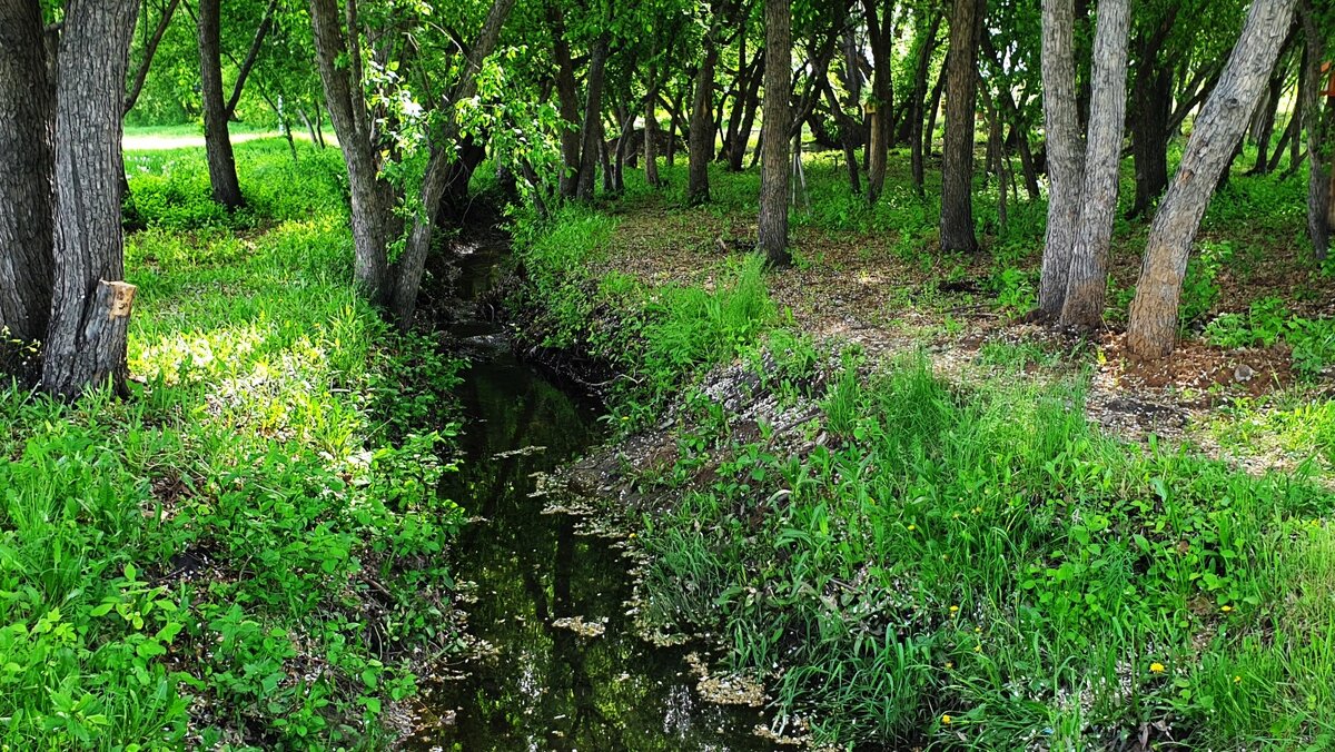     Из-за стабилизации лесопожарной обстановки в регионе режим чрезвычайной ситуации в тайге. Это означает, что гражданам можно выезжать отдыхать на природу.
