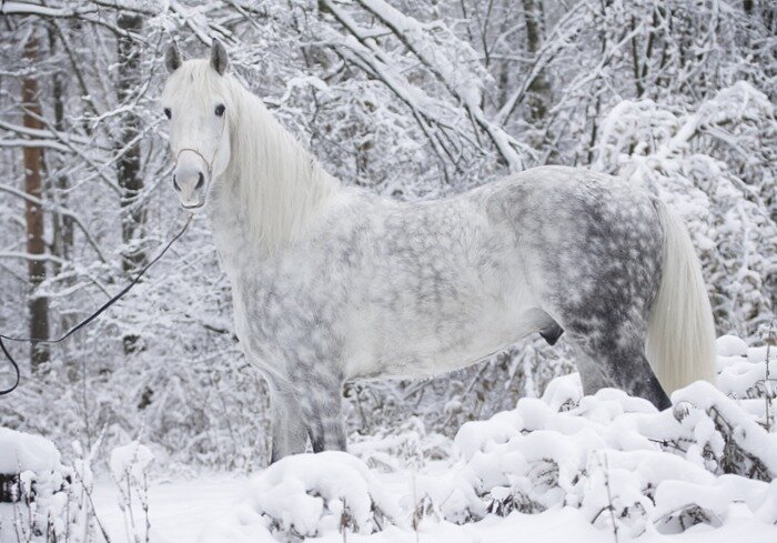 Фото: fotostrana.ru