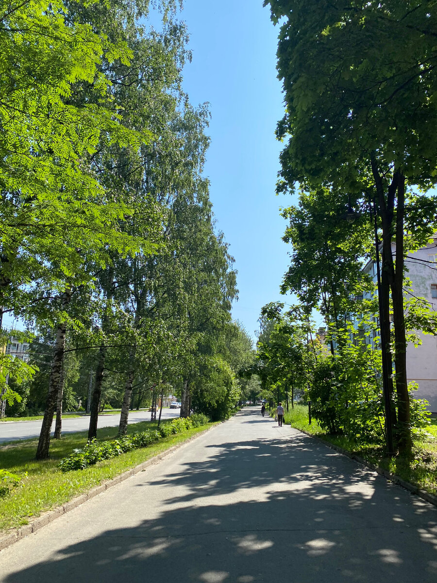 Тем более по такому зеленому пути-  грех не пройтись пешком хоть раз за лето 😀