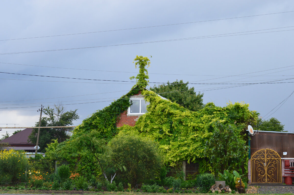 фото автора. 01.07.2023. Тёмные тучи над зелёным домом. Станица.