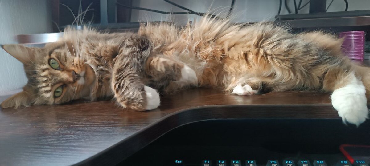 Форточка настольная, такая и лежала, только большая-большая