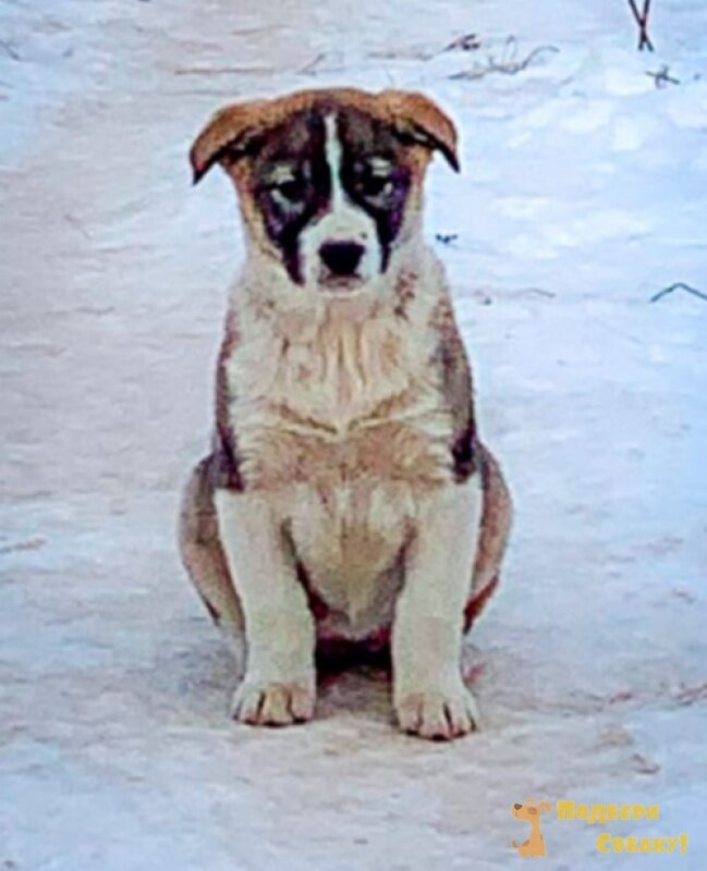 Вот примерно так выглядели героини этой истории.