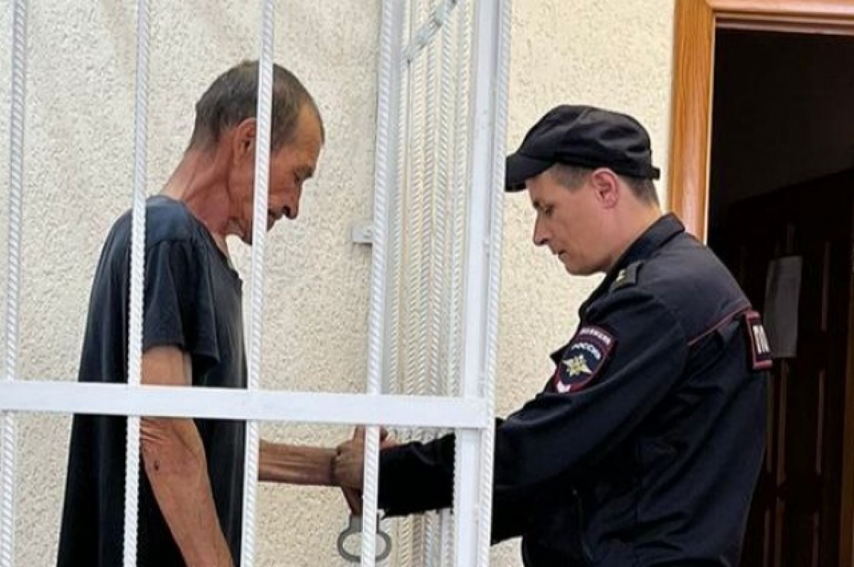    Убийце бабушки из Омской области избрали меру пресечения