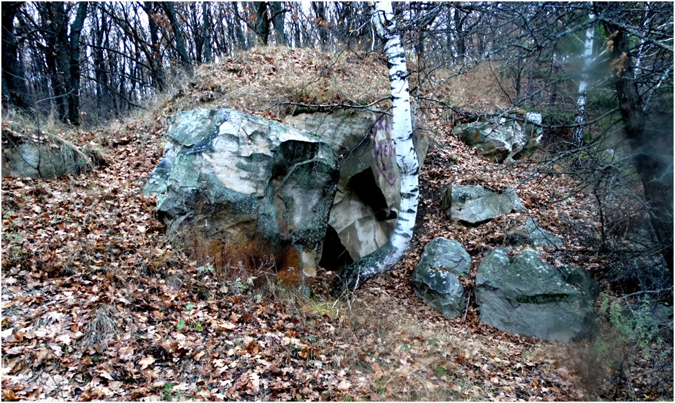 Снимок 1. Фото автора