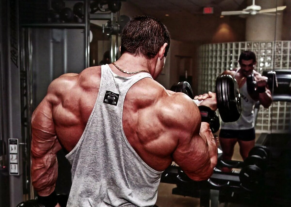 Как правило, мышцы массивные и рельефные