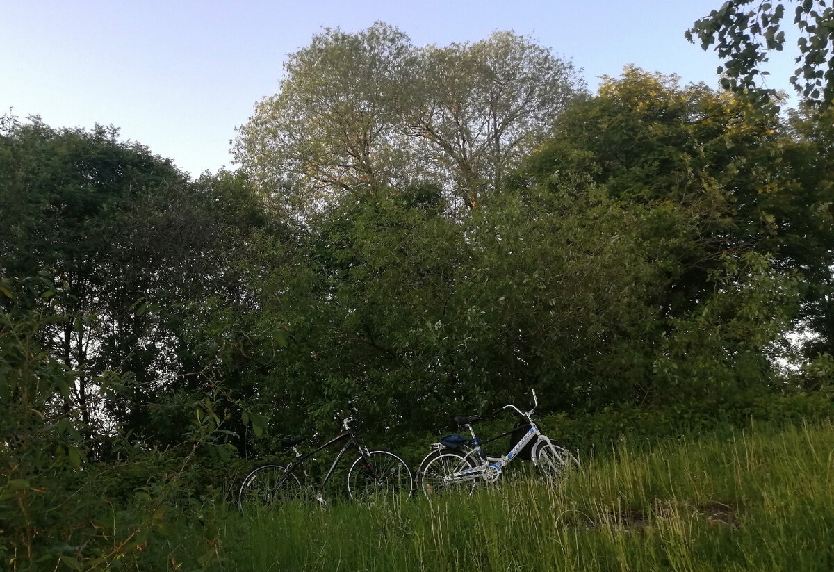 Фото автора