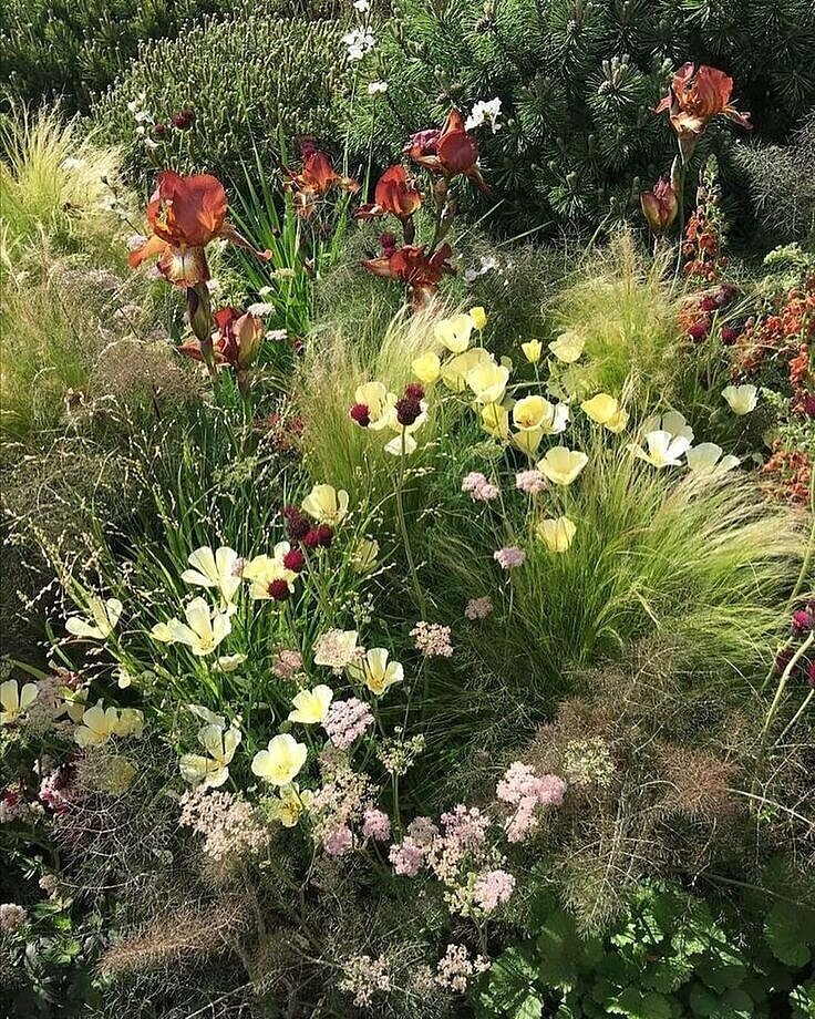 ИСТОЧНИК: https://www.theenglishgarden.co.uk/wp-content/uploads/2017/05/JayneLloyd_RHSChelseaFlowerShow2017_4542.jpg