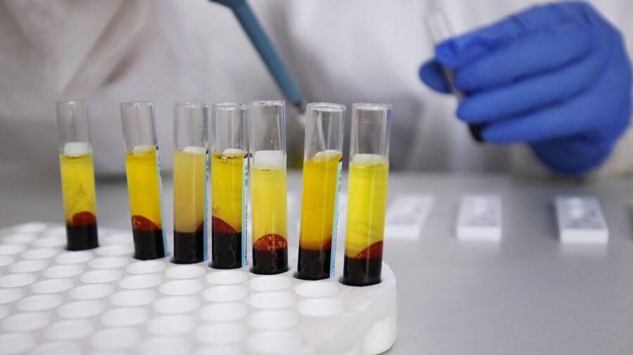 Фото: РИА Новости/Виталий Тимкив