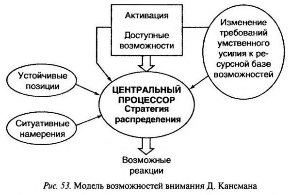 характеристики внимания. ресурсная модель канемана. ресурсная теория внимания. ресурсная теория внимания канемана. модель внимания канемана.
