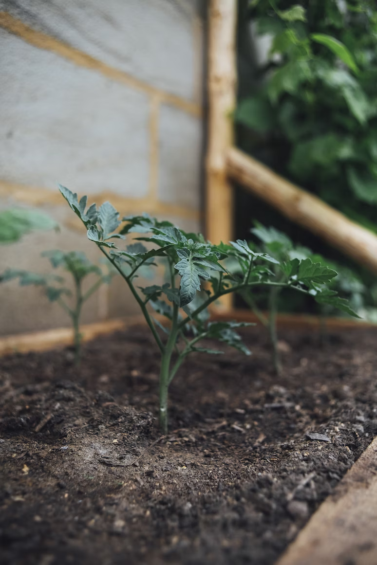 Markus Spiske / Unsplash