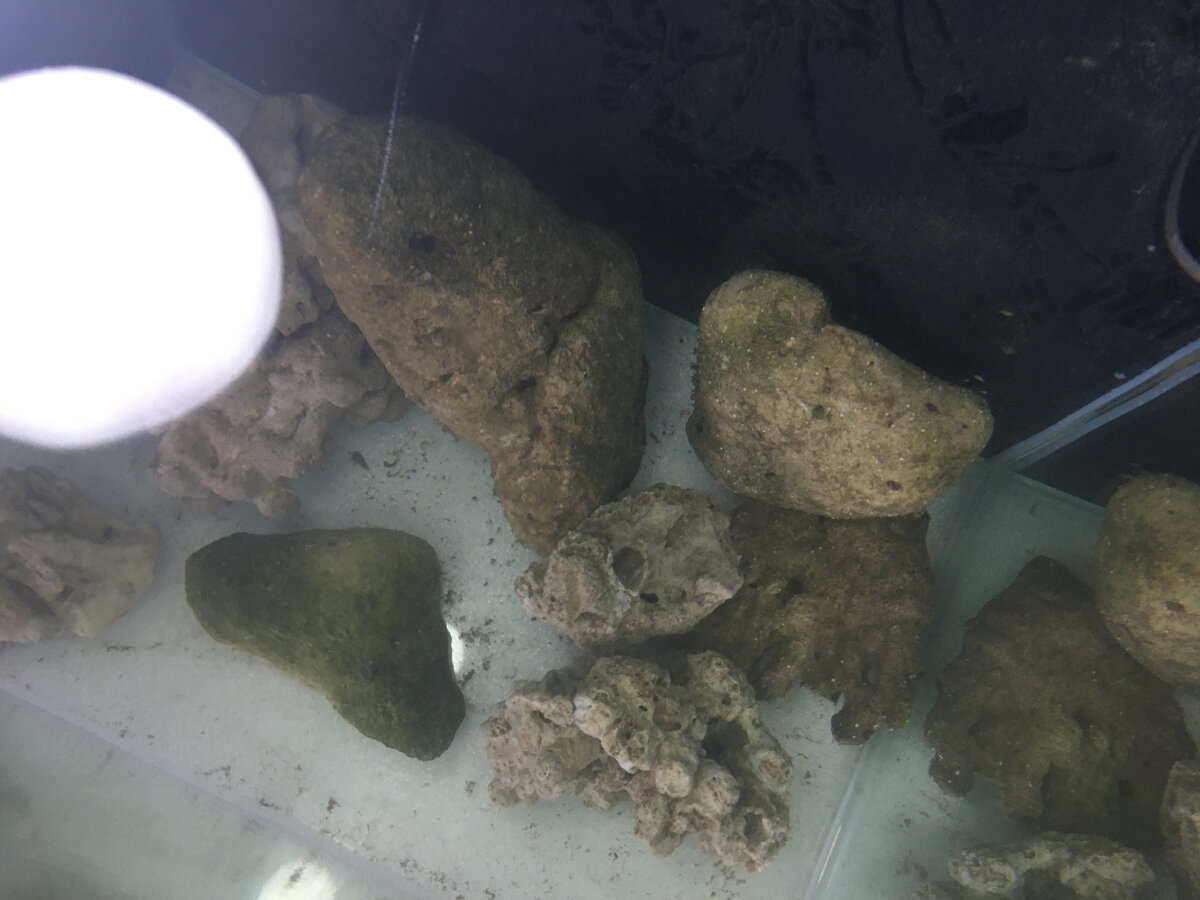 Камни есть а грунта ещё нет(((