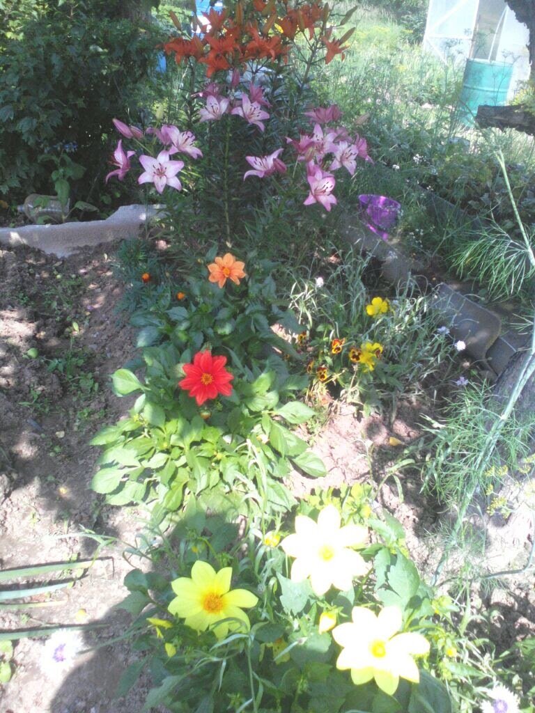     Фото автора иэ архива