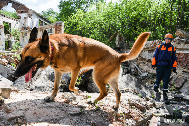    В свердловском поселке ищут 15-летнего подростка