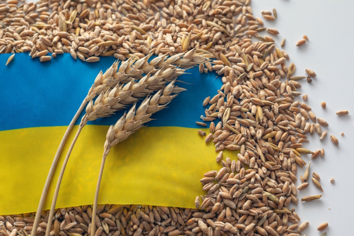 Почему зерно украины