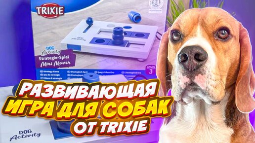 Развивающая игра для собак Mini Mover от TRIXIE