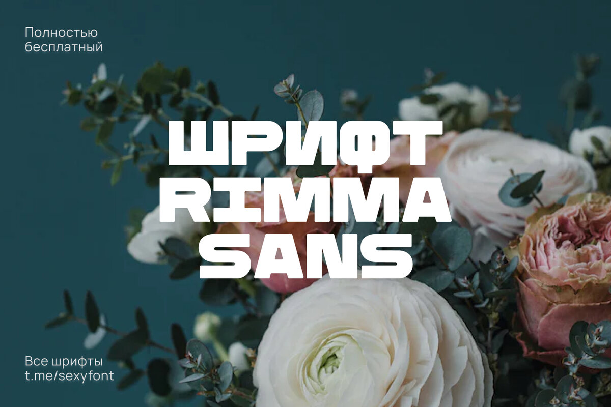 Шрифт rimma sans | Бесплатные шрифты. Кириллица | Дзен