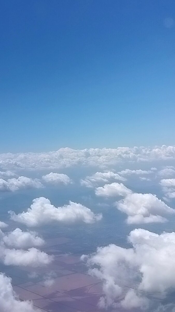 Фото из личного архива автора публикации.