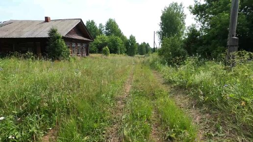 Брожу в заброшенной деревне \ Показываю, что осталось о таёжной деревни \ НО! тут еще есть электричество - один дом обитаем