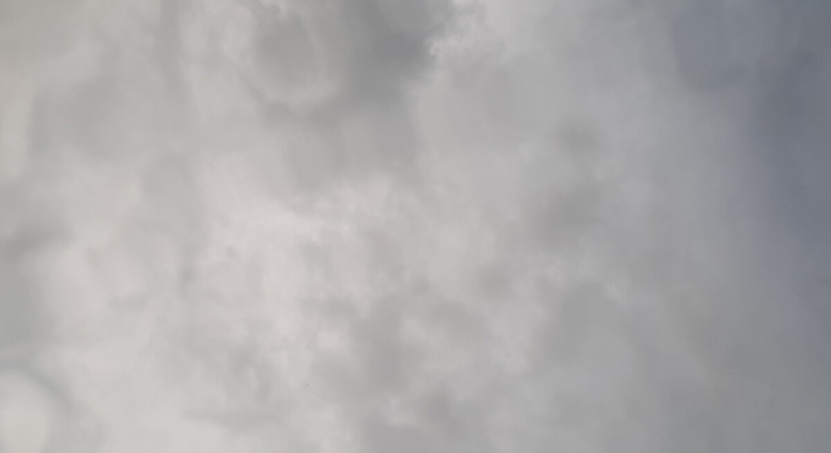Серое настроение неба. Фото автора 
