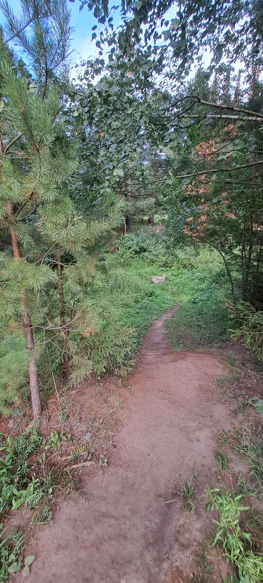 Спуск к роднику (фото автора)