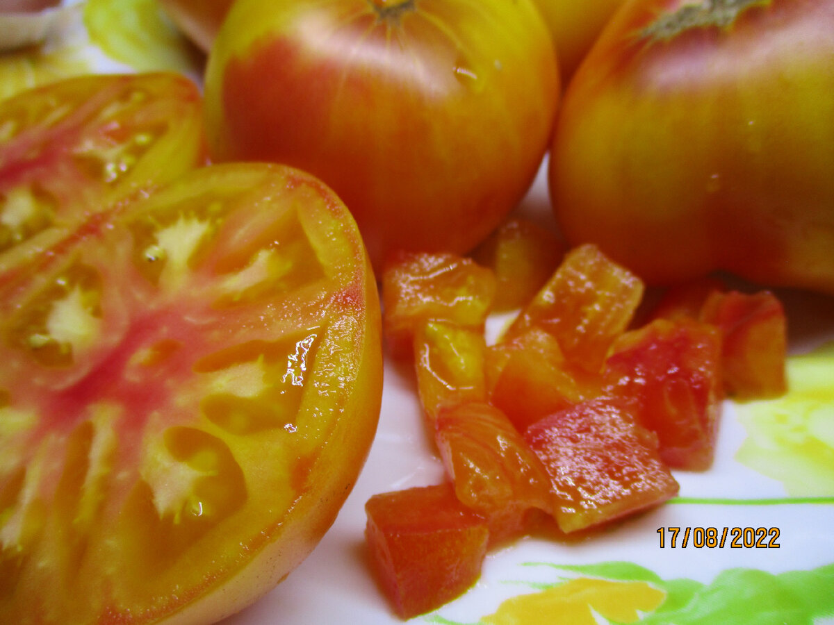 Этот сорт для любителей самых сладких томатов. №875. Томатный Гном   БИКОЛОР Красота Сьюзи. НОВИНКА 2023. Создан в рамках Dwarf Tomato Project (проект Гном Томатный).