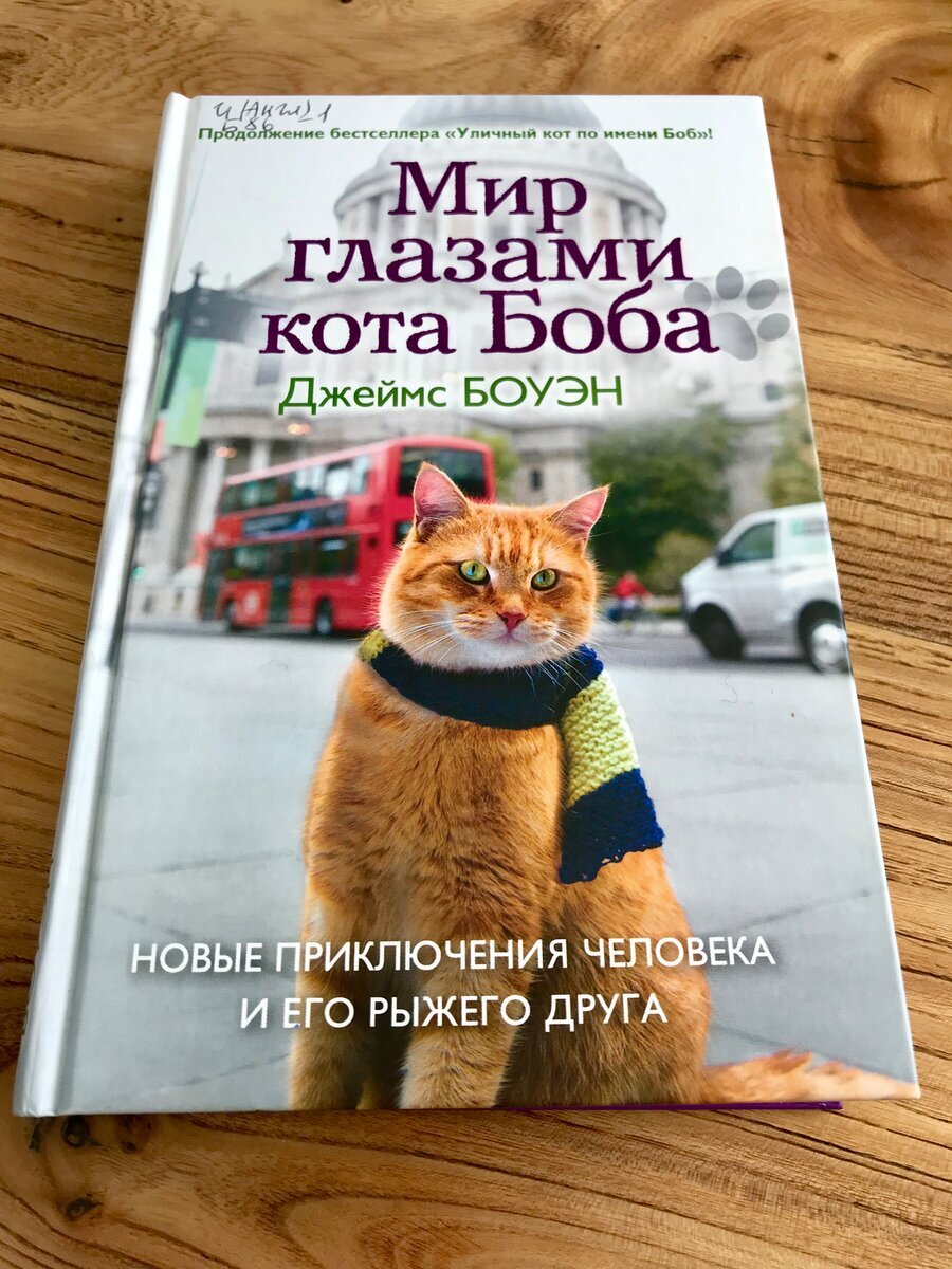 Подборка книг, оставляющих приятное послевкусие. Топ-20 обнадеживающих и  чарующих | Марафон ОТЛичницы | Дзен