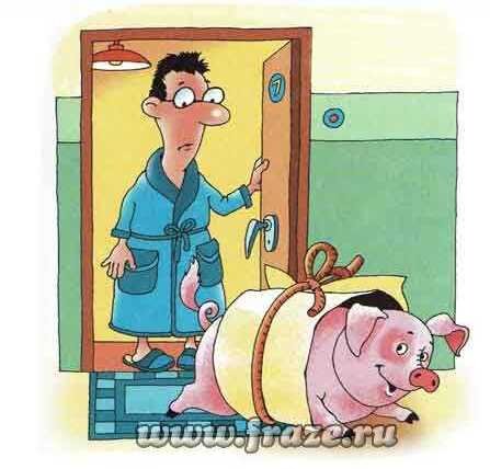 фото из интернета яндекс.картинки