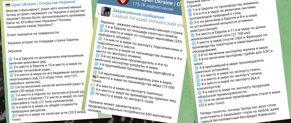 Кейс Украины предельно обнажает англосаксонскую алчность