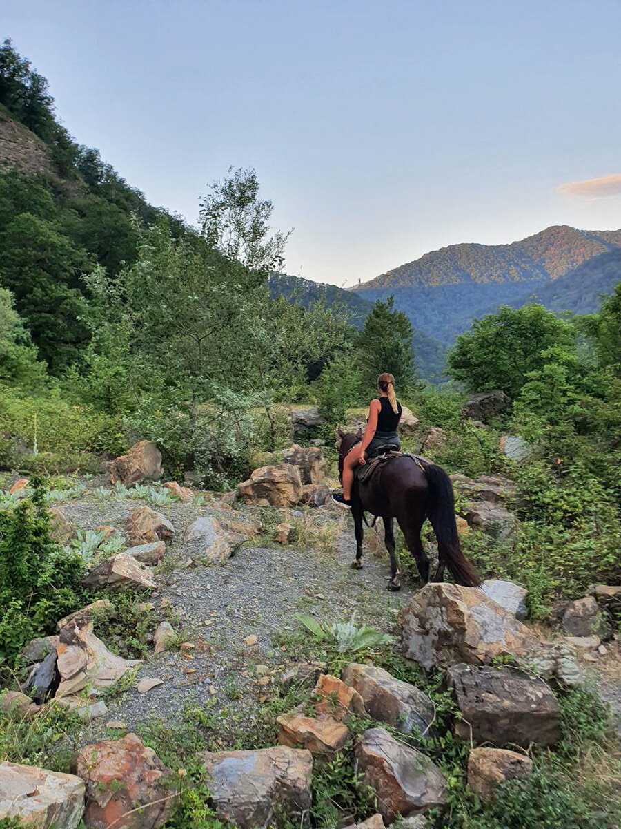 Фото vk.com/konivsochi