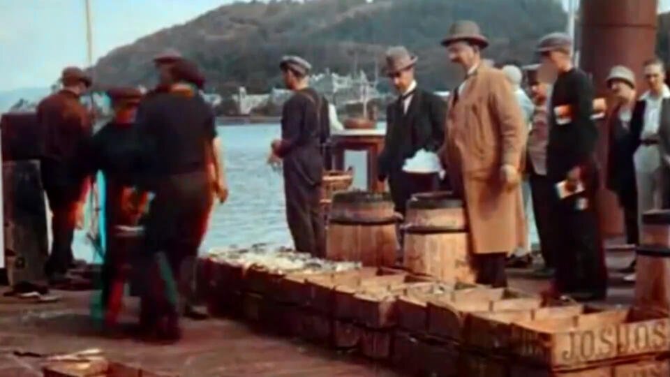 Фото: © скриншот видео