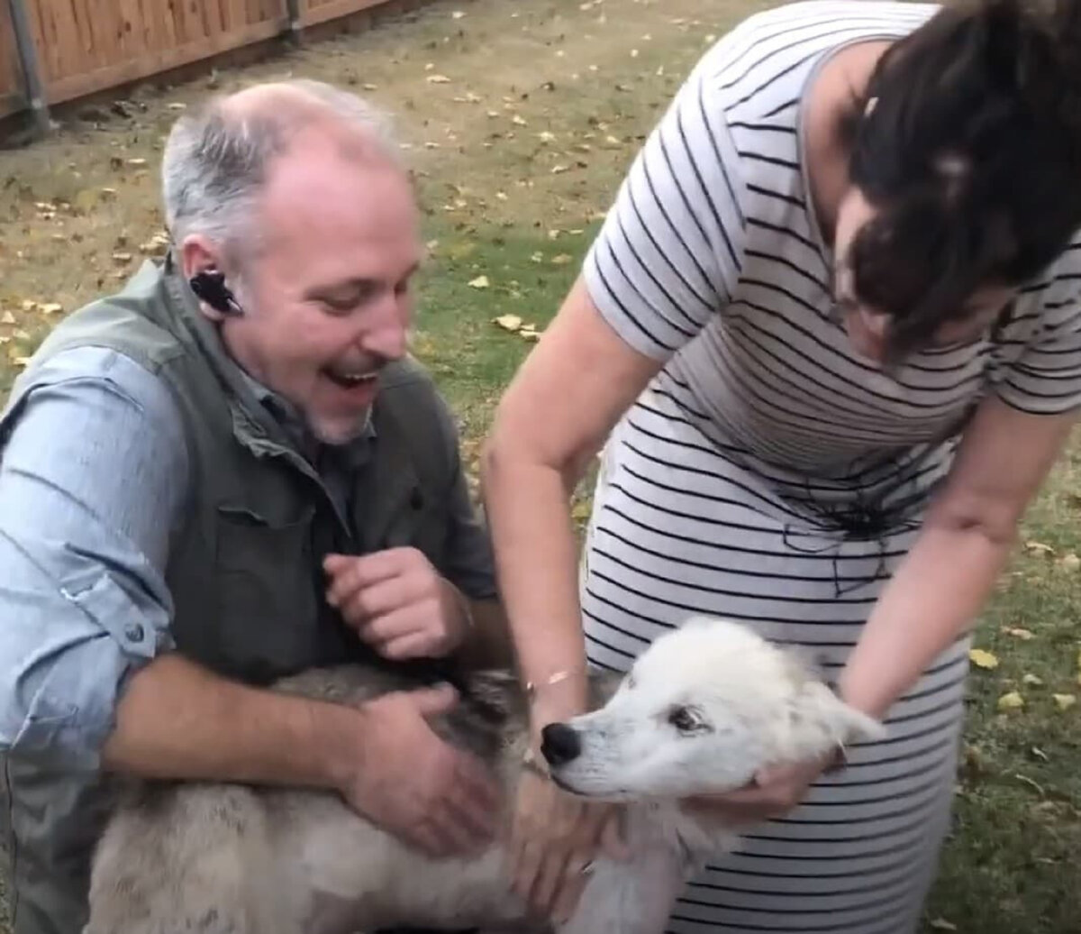 Новая семья Финна