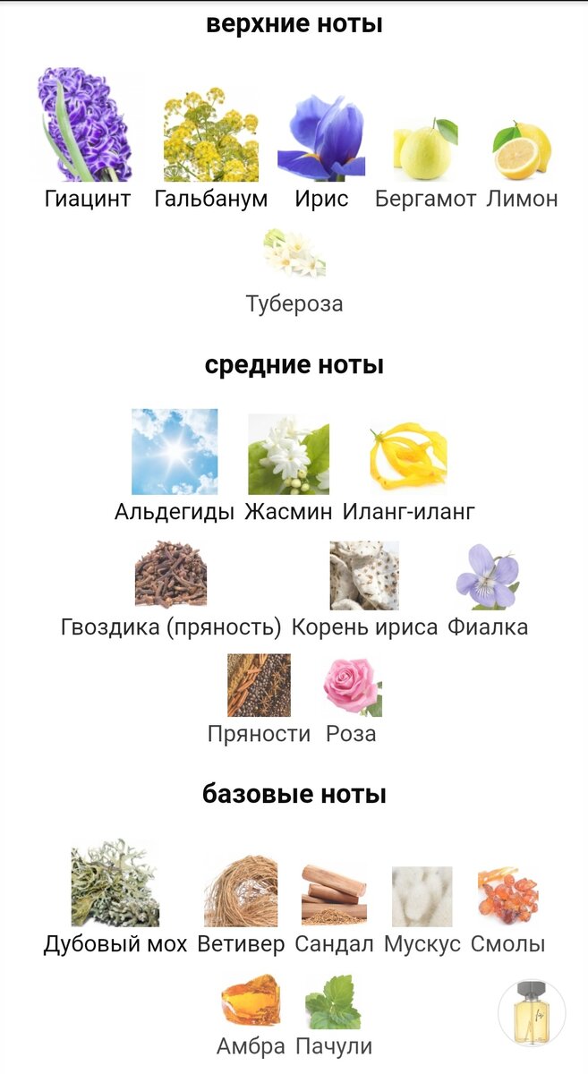 Ноты пирамиды. Фрагмантика 