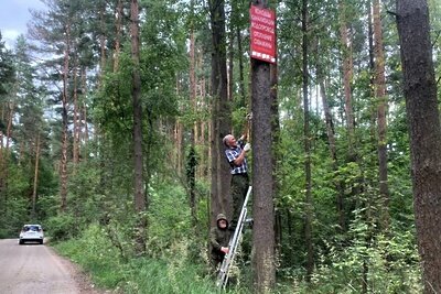    Демонтаж объявлений © Пресс-служба Комитета лесного хозяйства Московской области