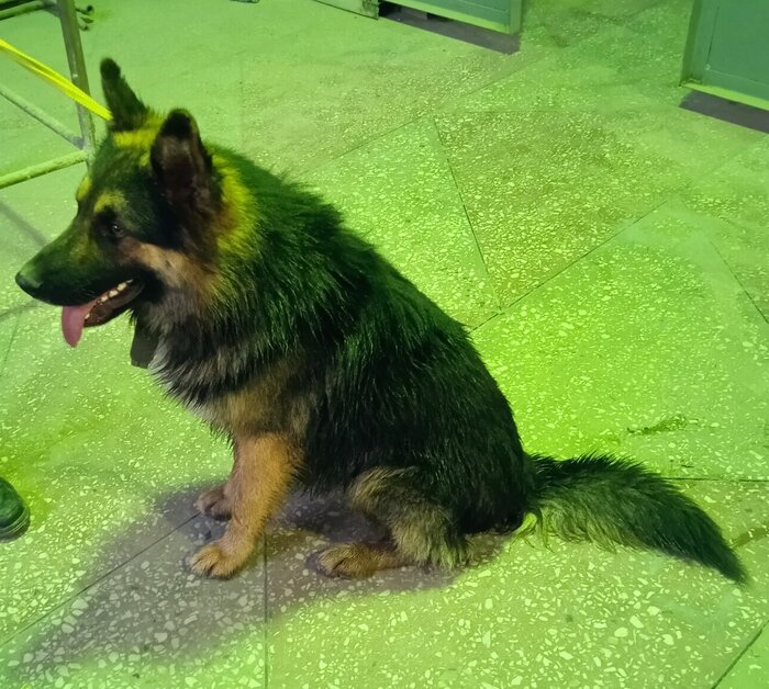 Листайте вправо, чтобы увидеть больше изображений