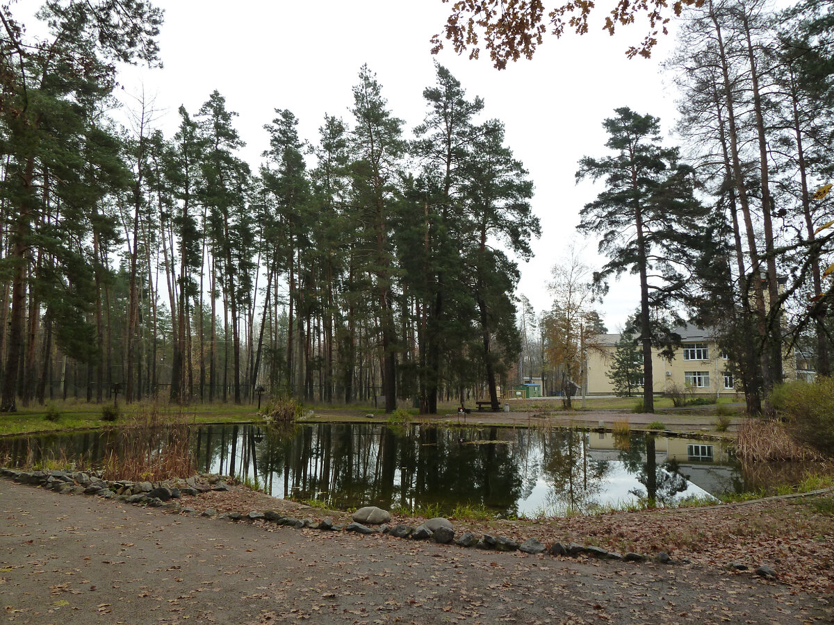 Сбоку от центрального здания сделали пруд, площадку отдыха, а за ней веревочный городок