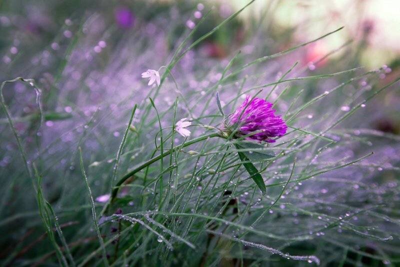 Фото с сайта vsegda-pomnim.com