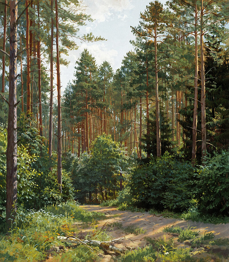 Дорога-в-сосновом-бору