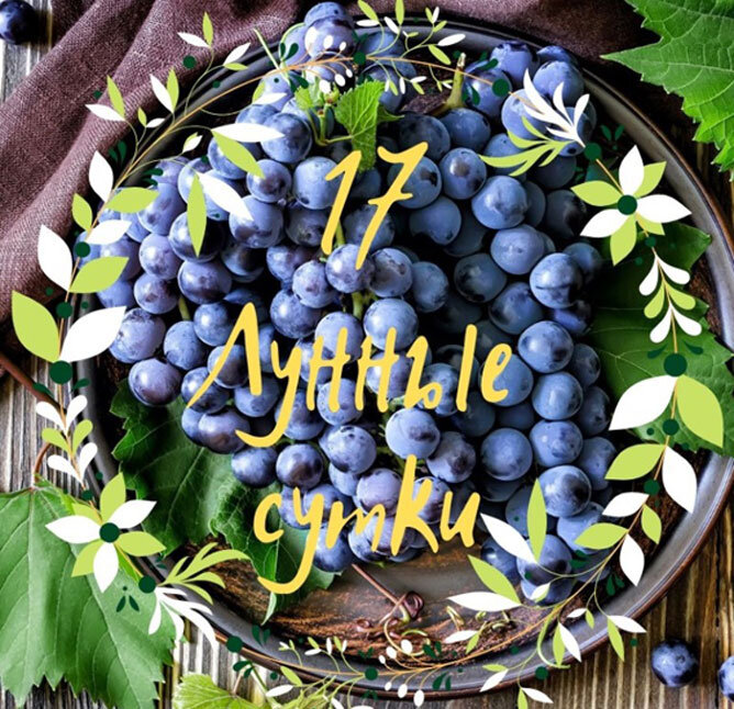 Астропрогноз и лунный календарь на 10.11.2022 от астролога Елены Луженецкой