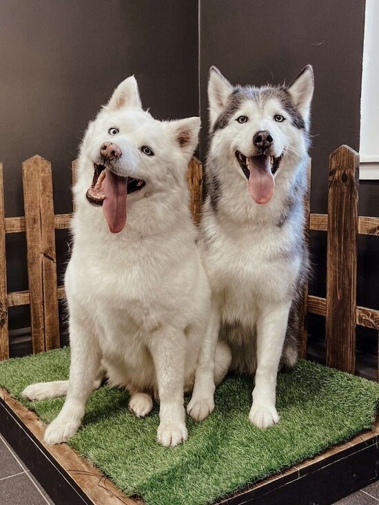     Фото: vk.com МБУДО «Детская Экологическая станция»